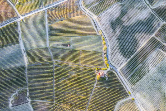 Framed Print : Aerial view of vineyards of Langhe from hot air baloon, Cuneo Province, Piedmont, Italy Framed Print : Aerial view of vineyards of Langhe from hot air baloon, Cuneo Province, Piedmont, Italy