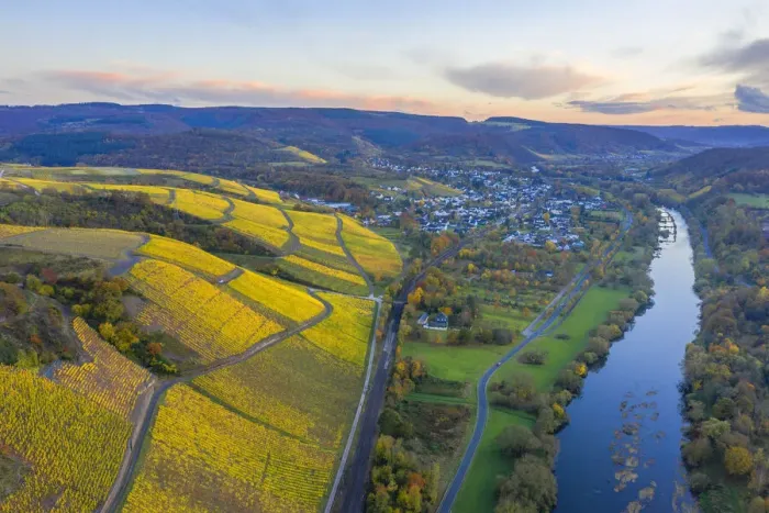 Framed Print : Aerial view at Vineyards with Wiltingen, Saar valley, Hunsruck, Rhineland-Palatinate, Germany Framed Print : Aerial view at Vineyards with Wiltingen, Saar valley, Hunsruck, Rhineland-Palatinate, Germany