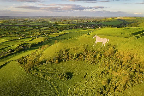Aerial view of Westbury White Horse and Bratton Camp, Westbury, Wiltshire, England. Spring (May) 2023