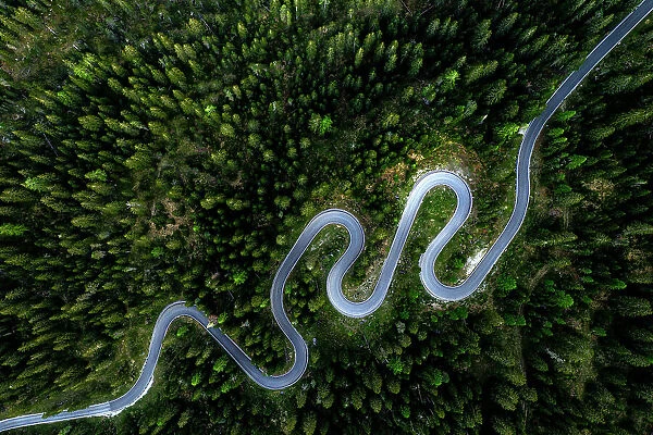 Aerial view of winding mountain road through a forest in spring, Giau Pass, Dolomites, Veneto, Italy