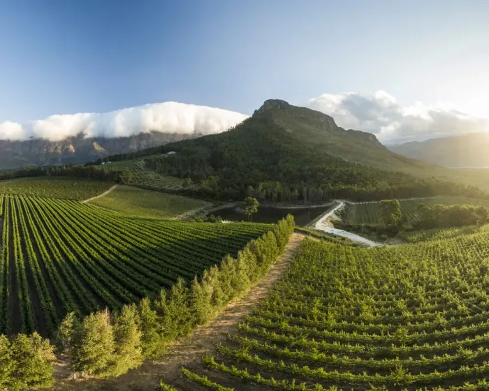 Framed Print : Aerial view of wine vineyards near Franschhoek, Western Cape, South Africa Framed Print : Aerial view of wine vineyards near Franschhoek, Western Cape, South Africa