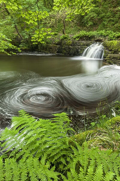 Afon Pyrddin, Vale of Neath, Brecon Beacons National Park, Wales