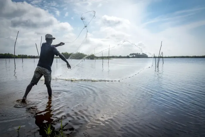 Framed Print : Africa, Benin, Ouidah. A fisherman casting his net in the lagoon Framed Print : Africa, Benin, Ouidah. A fisherman casting his net in the lagoon