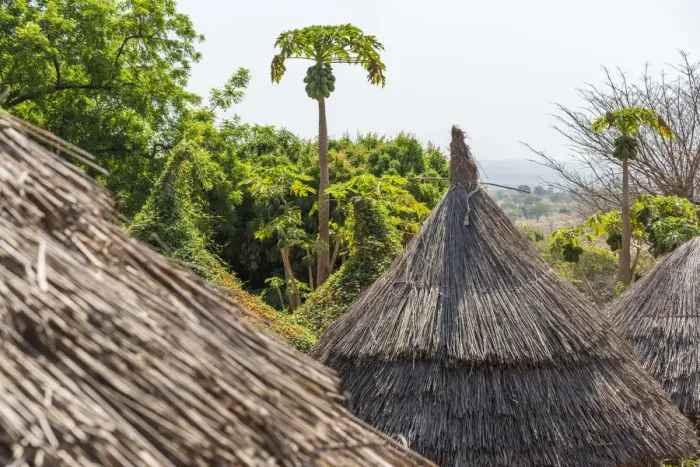 Framed Print : Africa, Benin, Taneka villages. The traditional hut roofs made of plants Framed Print : Africa, Benin, Taneka villages. The traditional hut roofs made of plants