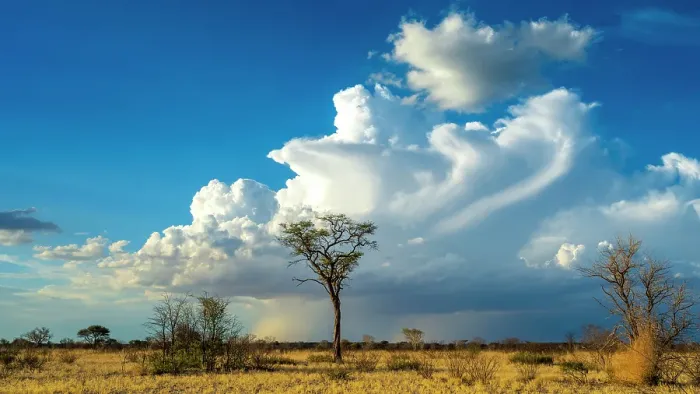 Framed Print : Africa, Botswana, Central Kalahari Game reserve. A big thunderstorm is building up Framed Print : Africa, Botswana, Central Kalahari Game reserve. A big thunderstorm is building up