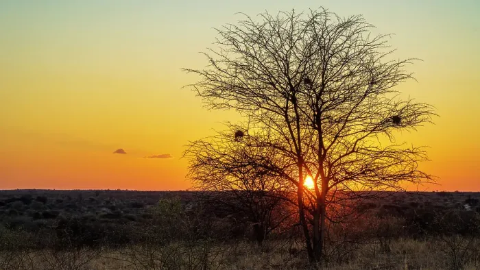 Framed Print : Africa, Botswana, Kalahari, Deception Valley lodge. Sunset with panorama over the valley Framed Print : Africa, Botswana, Kalahari, Deception Valley lodge. Sunset with panorama over the valley