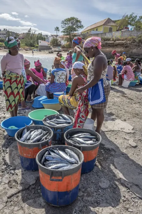 Framed Print : africa, Cape Verde, Santiago. Market-women buying fresh fish in Tarrafal Framed Print : africa, Cape Verde, Santiago. Market-women buying fresh fish in Tarrafal