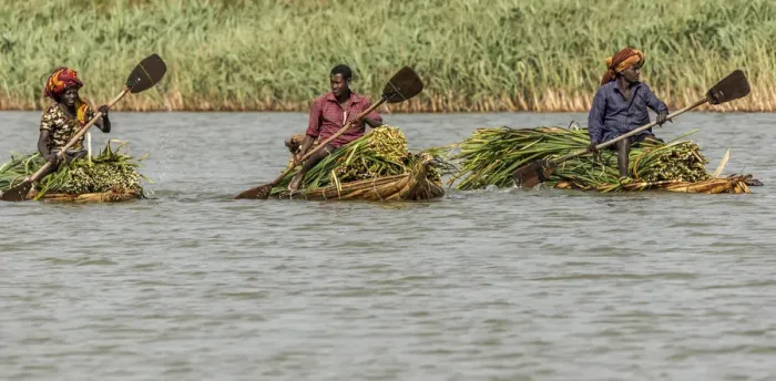 Framed Print : Africa, Ethiopia, Bahir Dar. Men on canoes transporting papyrus