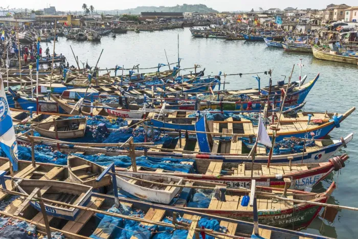 Framed Print : Africa, Ghana, Elmina harbour. Traditional wooden fishing boats in the harbour Framed Print : Africa, Ghana, Elmina harbour. Traditional wooden fishing boats in the harbour