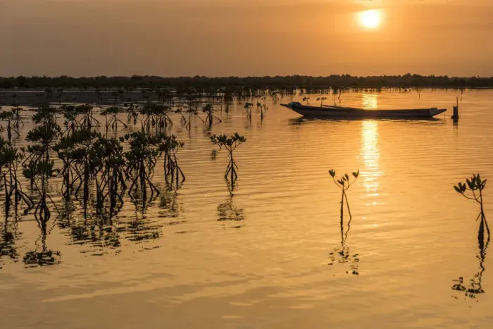 Framed Print : Africa, Guinea Bissau. Sunset over a wetland Framed Print : Africa, Guinea Bissau. Sunset over a wetland