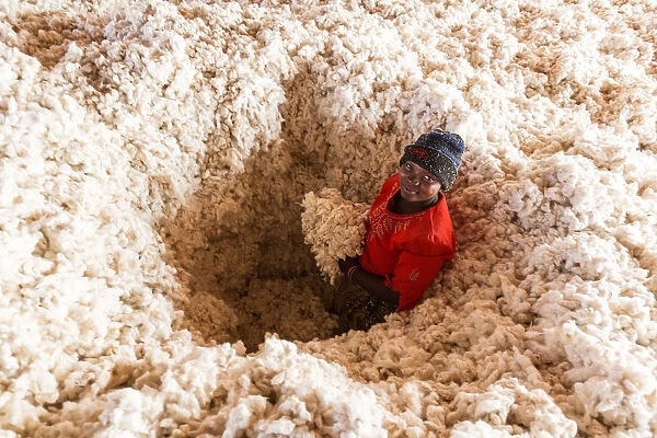 Africa, Malawi, Balaka district. Cotton processing