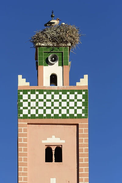Africa, Morocco, bird nesting on top of aAOt Benhaddou, UNESCO World Heritage site