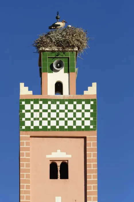 Framed Print : Africa, Morocco, bird nesting on top of aAOt Benhaddou, UNESCO World Heritage site Framed Print : Africa, Morocco, bird nesting on top of aAOt Benhaddou, UNESCO World Heritage site