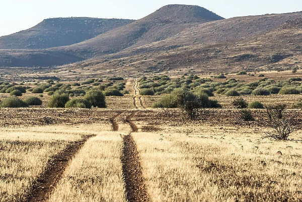 Africa, Namibia, Damara Land. A field road on the concession of Palmwag reserve