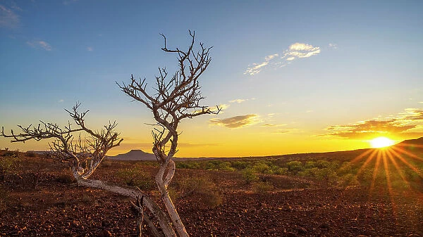 Africa, Namibia, Damaraland, Etendeka Plateau. Sunset