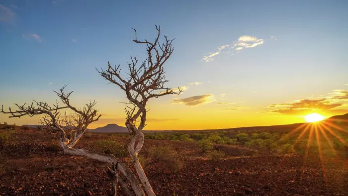 Framed Print : Africa, Namibia, Damaraland, Etendeka Plateau. Sunset Framed Print : Africa, Namibia, Damaraland, Etendeka Plateau. Sunset