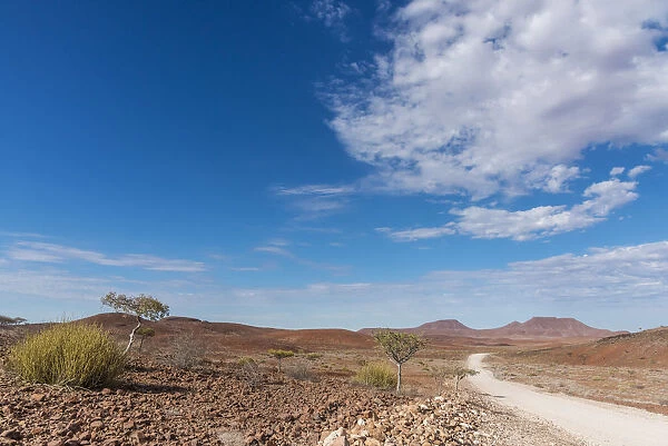 Africa, Namibia, Damaraland. A lonely road through the landscape