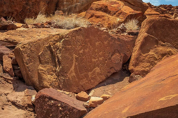 Africa, Namibia, Damaraland, Unesco World heritage site Twyfelfontein. The ancient rock engravings