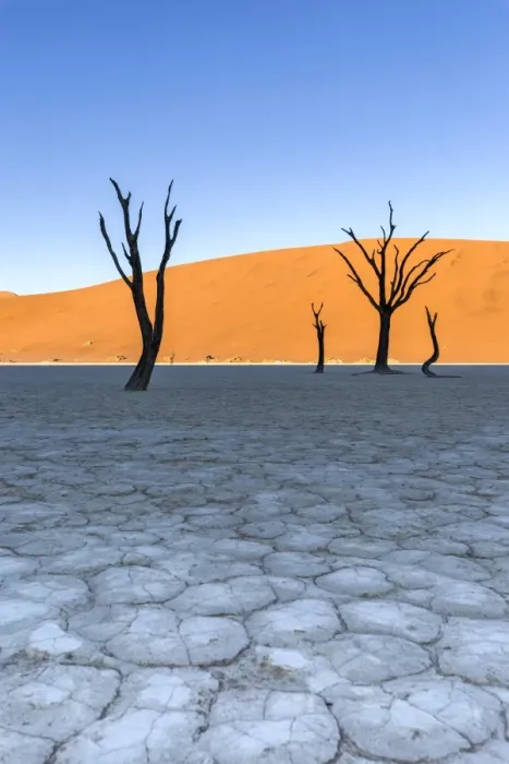 Framed Print : Africa, Namibia, Deadvlei, Namib desert, dead acacia trees Framed Print : Africa, Namibia, Deadvlei, Namib desert, dead acacia trees