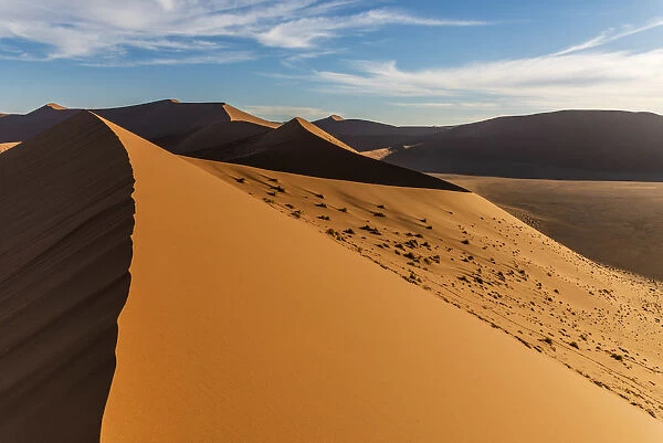 Africa, Namibia. On top of Dune 45