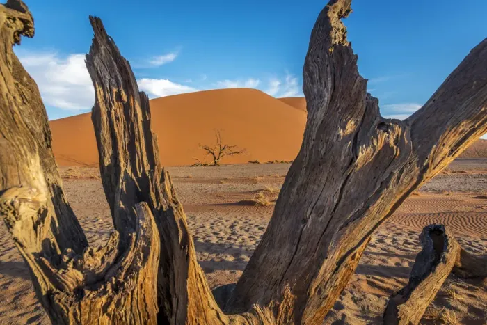 Framed Print : Africa, Namibia. Dune at Sossusvlei in the Namib desert Framed Print : Africa, Namibia. Dune at Sossusvlei in the Namib desert