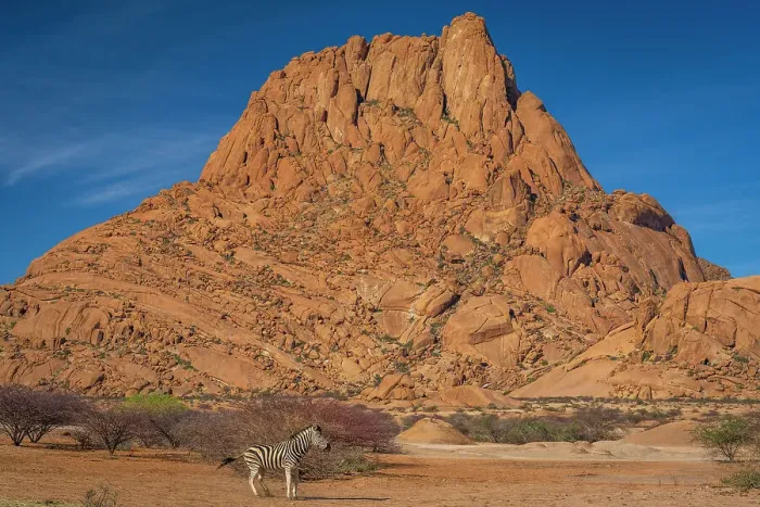 Framed Print : Africa, Namibia. Erongo Region. A zebra in front of the impressing Spitzkoppe mountain Framed Print : Africa, Namibia. Erongo Region. A zebra in front of the impressing Spitzkoppe mountain