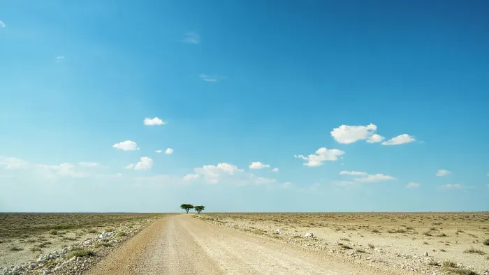 Framed Print : Africa, Namibia, Etosha National Park. Gravel road near the Etosha pan with two lone trees Framed Print : Africa, Namibia, Etosha National Park. Gravel road near the Etosha pan with two lone trees