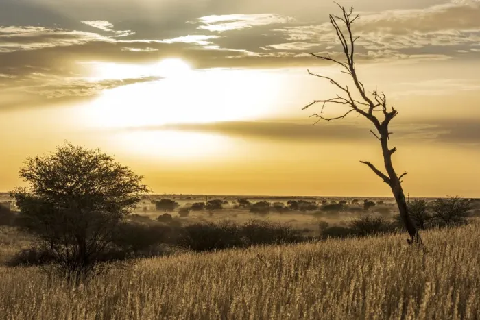 Framed Print : Africa, Namibia, Kalkrand. Sunrise over the Kalahari Framed Print : Africa, Namibia, Kalkrand. Sunrise over the Kalahari