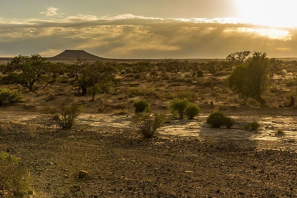 Africa, Namibia, Keetmanshop. Sunrise over a dry riverbed