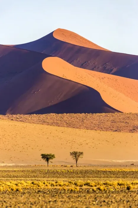 Framed Print : Africa, Namibia, Namib Desert, Sossusvlei, dunes at sunrise Framed Print : Africa, Namibia, Namib Desert, Sossusvlei, dunes at sunrise