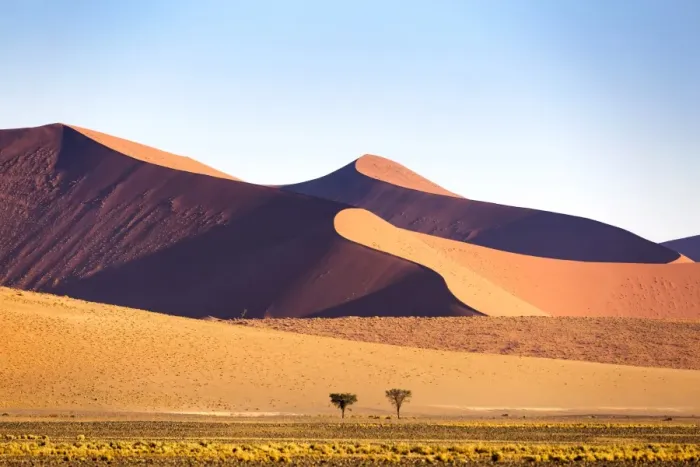 Framed Print : Africa, Namibia, Namib Desert, Sossusvlei, dunes at sunrise Framed Print : Africa, Namibia, Namib Desert, Sossusvlei, dunes at sunrise