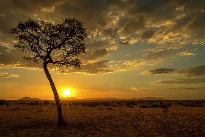 Framed Print : Africa, Namibia. Namib Naukluft area. A sunset with a tree Framed Print : Africa, Namibia. Namib Naukluft area. A sunset with a tree