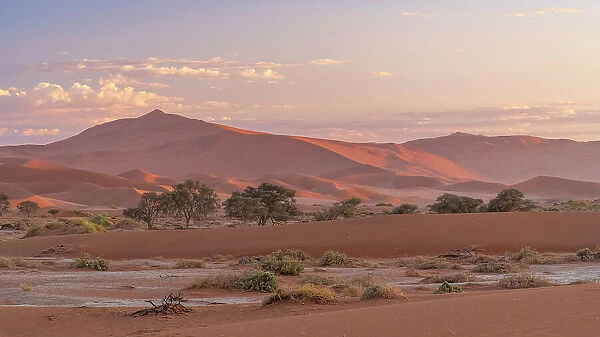 Africa, Namibia. Namib Naukluft National park. Dawn in the Sossusvlei area