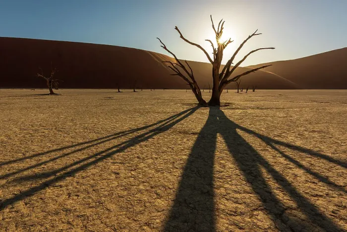 Framed Print : Africa, Namibia. Namib Naukluft National park. Sunrise in the Dead vlei Framed Print : Africa, Namibia. Namib Naukluft National park. Sunrise in the Dead vlei