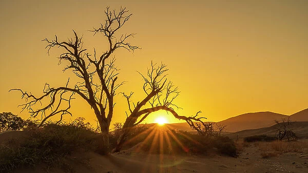 Africa, Namibia. Namib Naukluft National park. Sunset in the Sossusvlei area