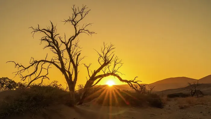 Framed Print : Africa, Namibia. Namib Naukluft National park. Sunset in the Sossusvlei area