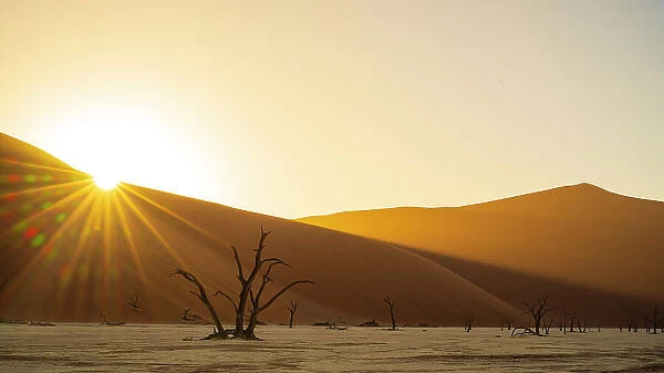 Africa, Namibia. Namib Naukluft National park. Sunrise in the Dead vlei