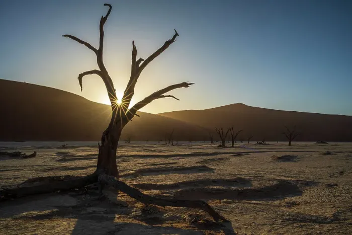 Framed Print : Africa, Namibia. Namib Naukluft National park. Sunrise in the Dead vlei Framed Print : Africa, Namibia. Namib Naukluft National park. Sunrise in the Dead vlei