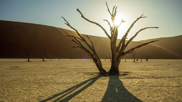 Framed Print : Africa, Namibia. Namib Naukluft National park. Sunrise in the Dead vlei Framed Print : Africa, Namibia. Namib Naukluft National park. Sunrise in the Dead vlei