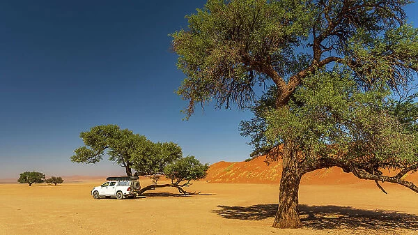 Africa, Namibia. Namib Naukluft National park. Safari car under a tree