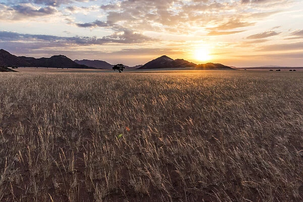 Africa, Namibia, Namib Rand area. Farm Kanaan. Landscape of the Tiras mountains at sunset