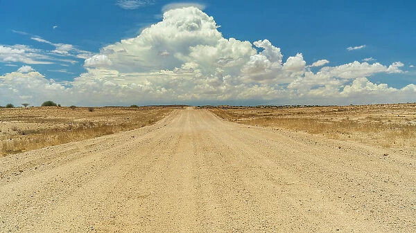 Africa, Namibia. A typical gravel road, straight, with a cloud building up