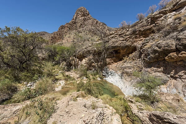 Africa, Namibia. Water pools in the Naukluft Mountains