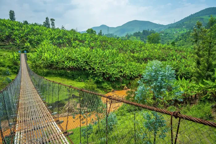 Framed Print : africa, Rwanda, Kivu Lake. The Congo Nile Trail - Walking on a hanging bridge on the Congo Nile trail