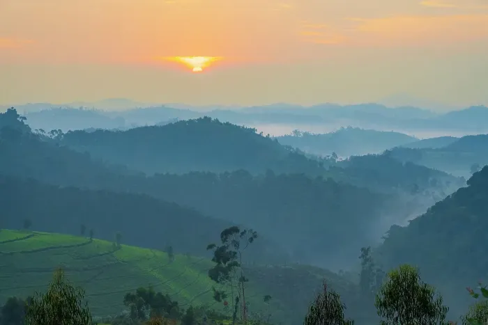 Framed Print : Africa, Rwanda, Nyungwe National Park. Sunrise above the rolling hills