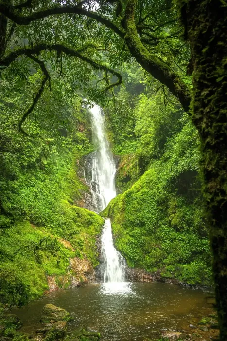 Framed Print : africa, Rwanda, Nyungwe National Park. The waterfall Framed Print : africa, Rwanda, Nyungwe National Park. The waterfall
