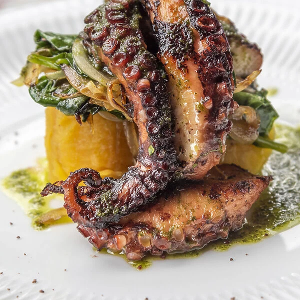 Africa, SA£o Toma and Principe. Delicious Octopus served with vegetables in Roca Sundy