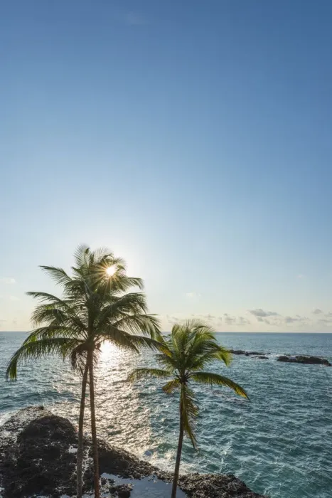 Framed Print : Africa, SA£o Toma and Principe. Seascape with palm trees near to Praia Jala on Sao Framed Print : Africa, SA£o Toma and Principe. Seascape with palm trees near to Praia Jala on Sao