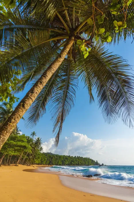 Framed Print : Africa, Sao Tome and Principe. Beautiful sandy beach Praia Jalè