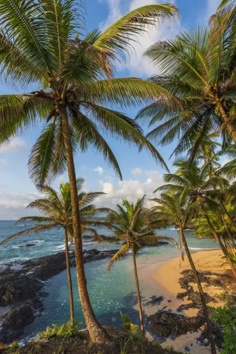 Framed Print : Africa, Sao Tome and Principe. View towards beautiful Praia Piscina in Framed Print : Africa, Sao Tome and Principe. View towards beautiful Praia Piscina in